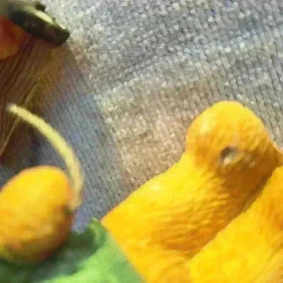 Cherished Teddy set, 11 Figurines - Picture 7 of 15